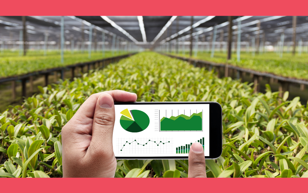 KPMG e TIM fazem acordo inédito para alavancar produtividade no agronegócio