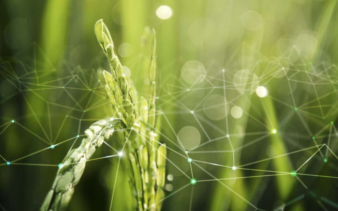 CPQD participa de projeto em agricultura digital lançado pela Embrapa e Fapesp