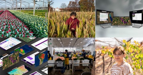 Microsoft apoia empresas nativas digitais que promovem agricultura baseada em dados e Inteligência Artificial