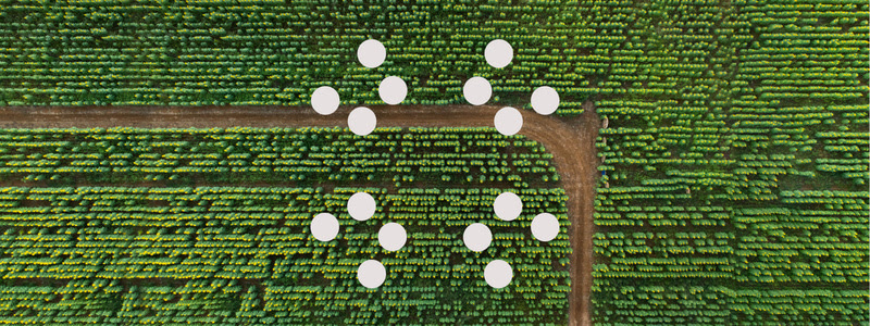IBM Cloud Carbon Calculator ajuda empresas a avançar em objetivos de sustentabilidade e a lidar com as emissões de gases