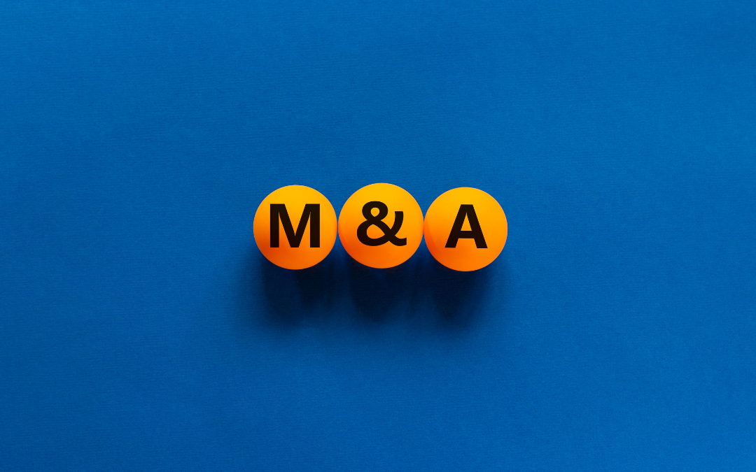 Negócios: Empresa italiana quer adquirir empresa ou startup brasileira no setor de software