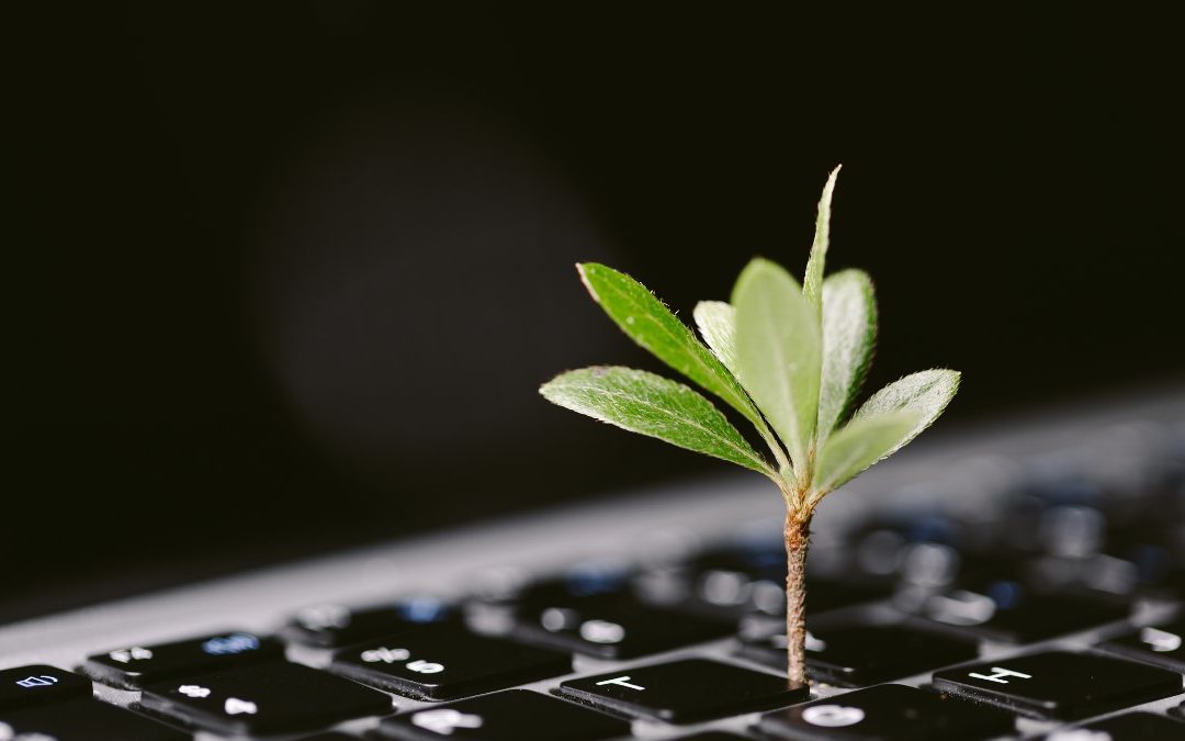 Estudo da IBM destaca o potencial da IA ​​generativa para alcançar o sucesso em tecnologias sustentáveis no Brasil