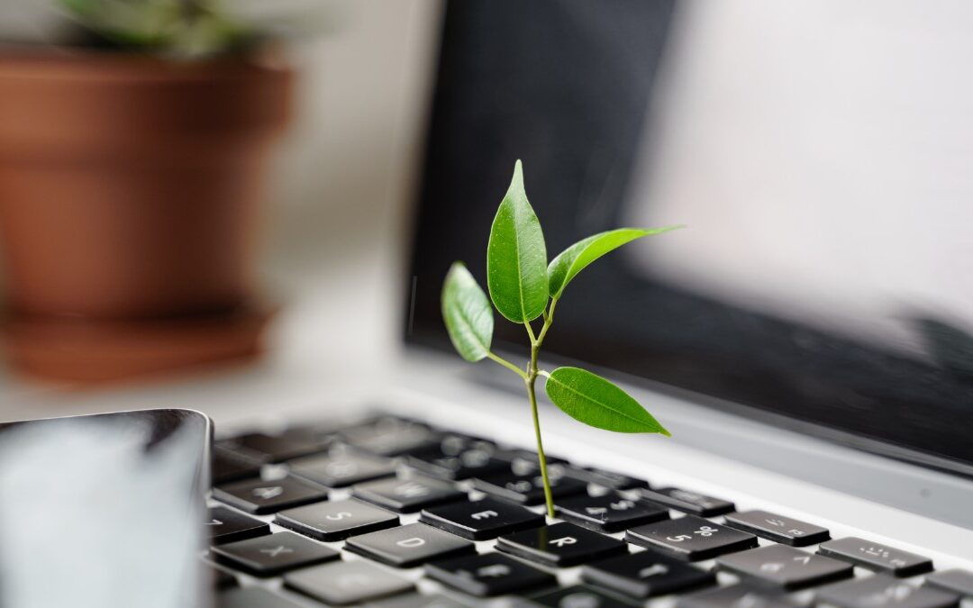 NEC é listada no Índice de Sustentabilidade Dow Jones (DJSI)