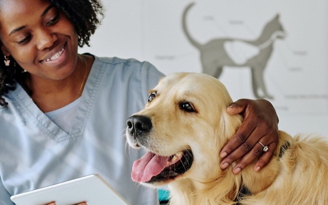 Elanco reforça segurança digital e reduz os tempos de resposta em aproximadamente 50% usando o Security Copilot e o Defender Experts for XDR