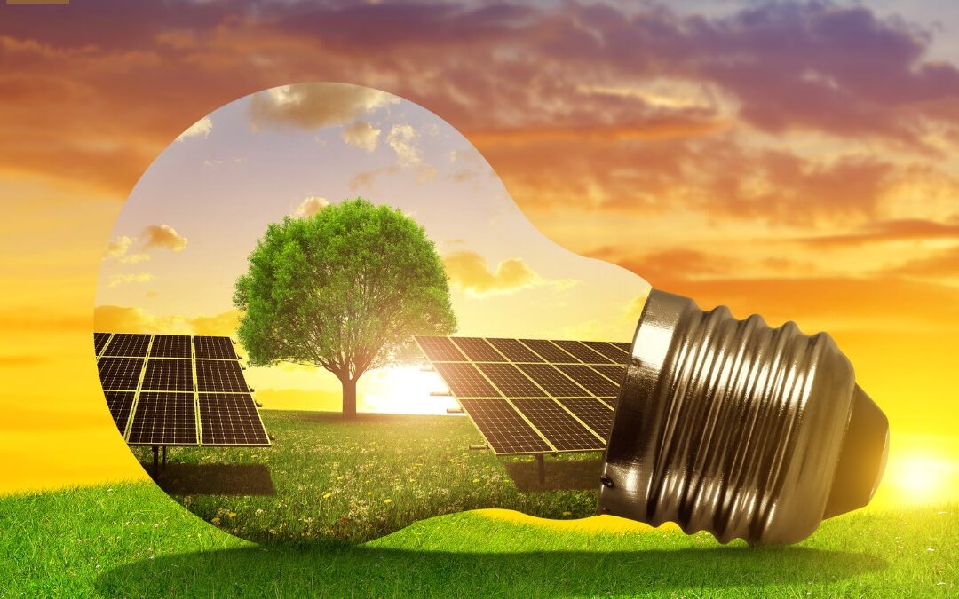 Últimos dias: CPFL Energia busca projetos em armazenamento de energia para investimento 