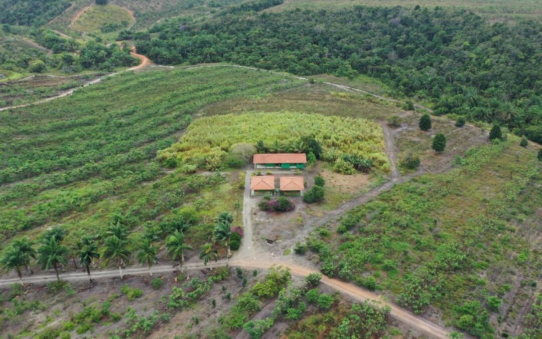 Da agricultura aos oceanos: a estratégia global da Microsoft para escalar a remoção de carbono