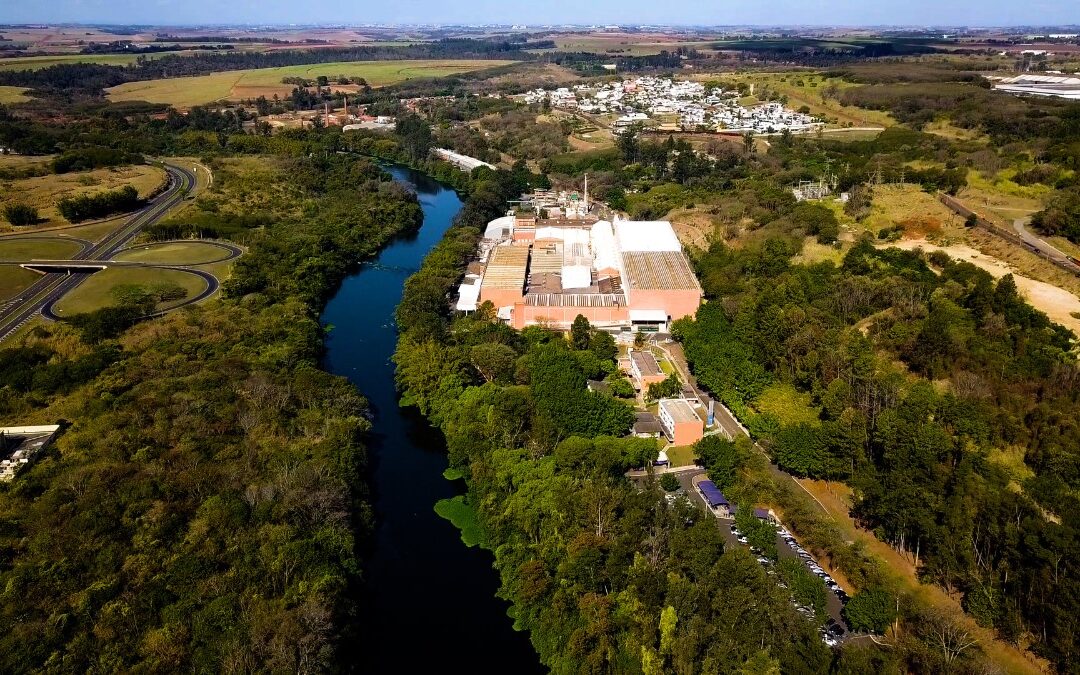 Oji Papéis antecipa adequação à reforma tributária e reduz 97% da base de dados com apoio da SoftwareOne