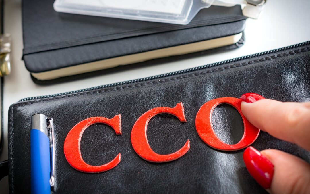 TIVIT anuncia Walmir Carvalho como novo CCO