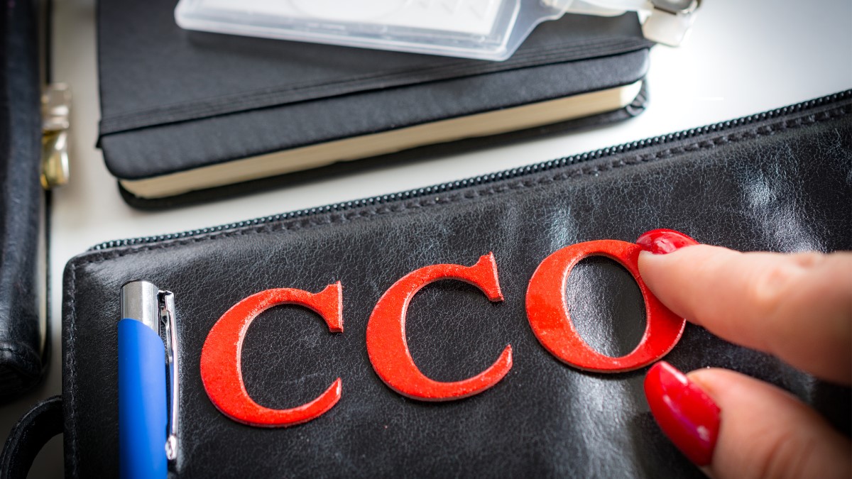 TIVIT anuncia Walmir Carvalho como novo CCO